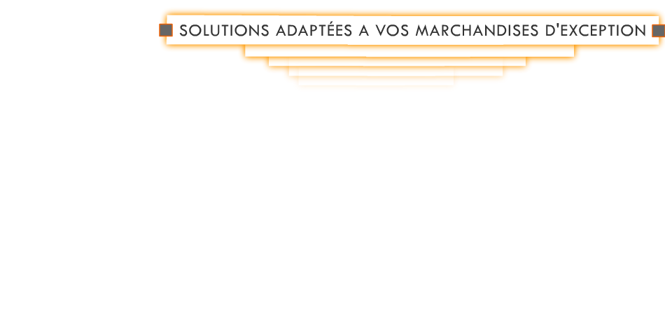 Transports marchandises d'exception